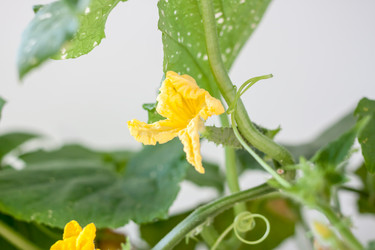 Similar image 20194580