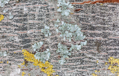 Similar image 20194652