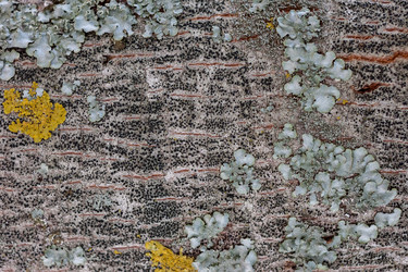 Similar image 20194653