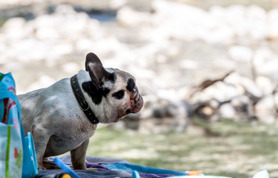 Similar image 20194718