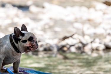 Similar image 20194721