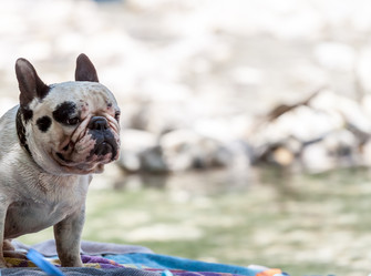 Similar image 20194732