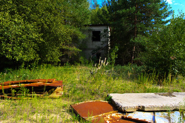 Similar image 20193501