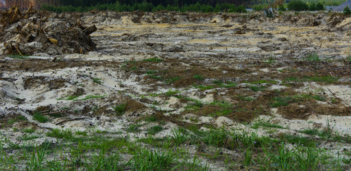 Similar image 20193831