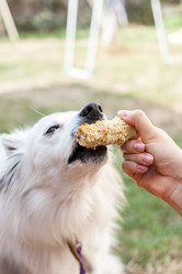 Similar image 20194347