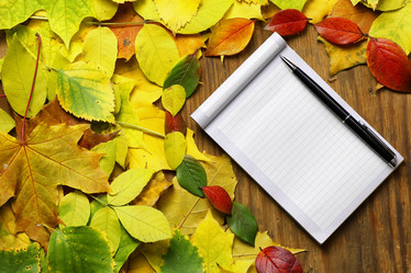 Similar image 20051458