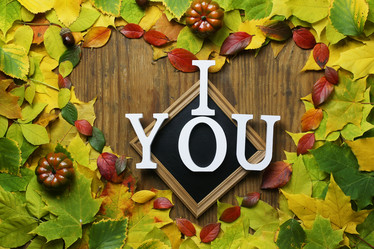 Similar image 20051468