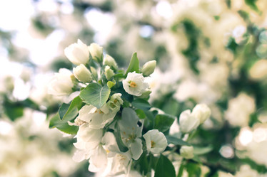 Similar image 20051474