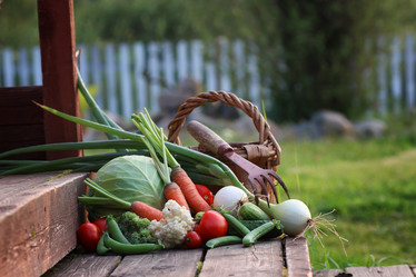 Similar image 20051475