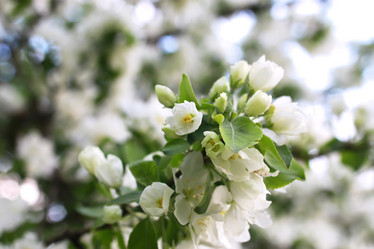 Similar image 20051476