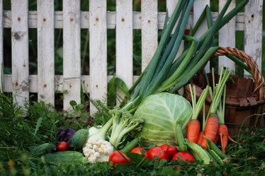 Similar image 20051480