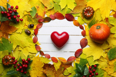 Similar image 20051484