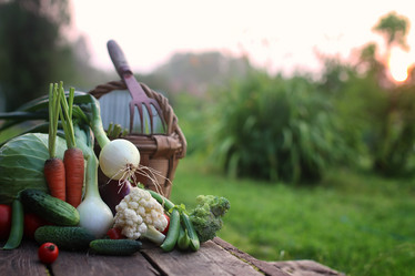 Similar image 20051485