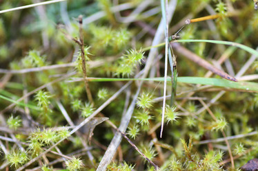 Similar image 20051490