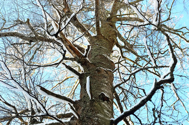 Similar image 20051523