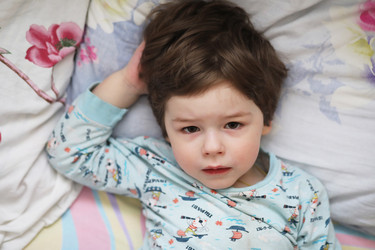 Similar image 20051579