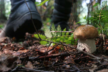 Similar image 20051603