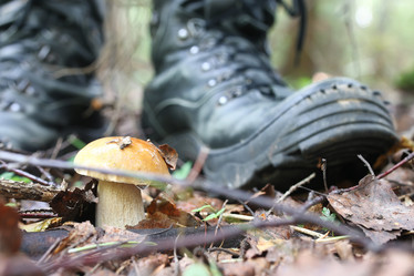 Similar image 20051609