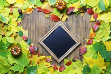 Similar image 20051634