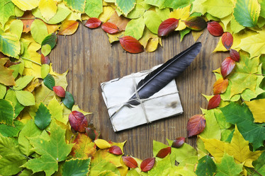 Similar image 20051638