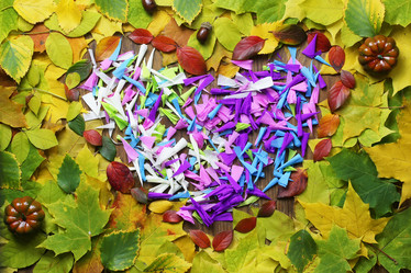 Similar image 20051641