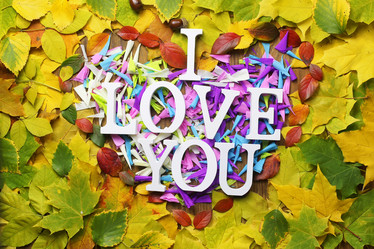 Similar image 20051642