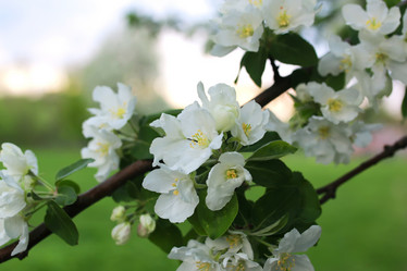 Similar image 20051643