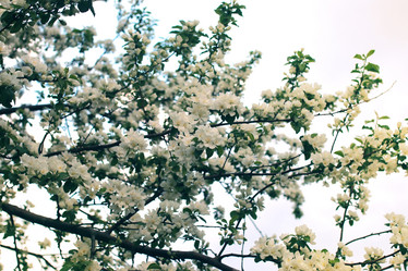 Similar image 20051645