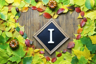 Similar image 20051646