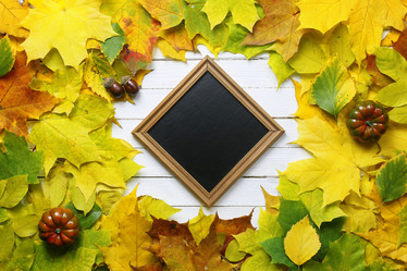 Similar image 20051650