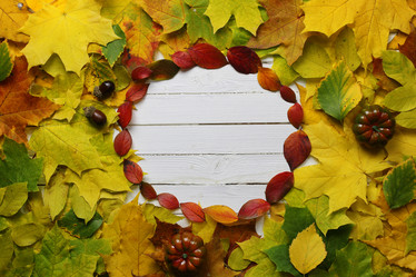 Similar image 20051651