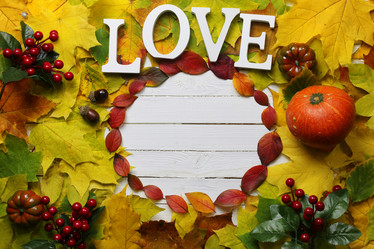 Similar image 20051658