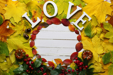 Similar image 20051666