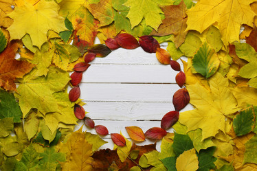 Similar image 20051667