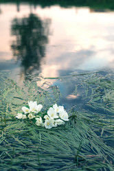 Similar image 20051669