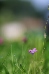 Similar image 20051671