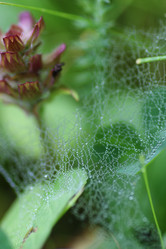 Similar image 20051672