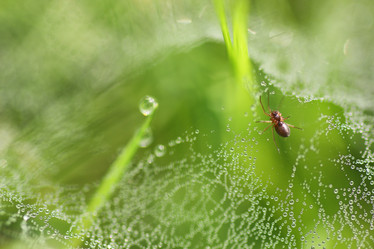 Similar image 20051674