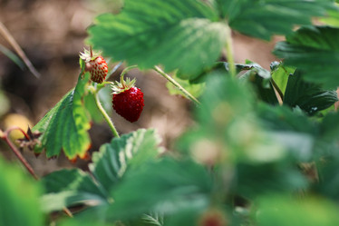 Similar image 20051675