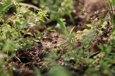 Similar image 20051676