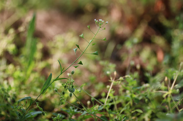 Similar image 20051677