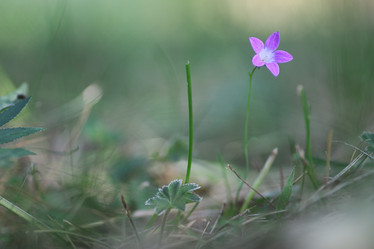 Similar image 20051678