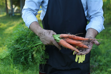 Similar image 20051683