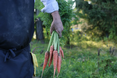 Similar image 20051687