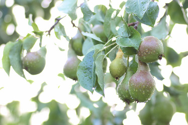 Similar image 20051691