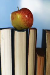 Similar image 20051695