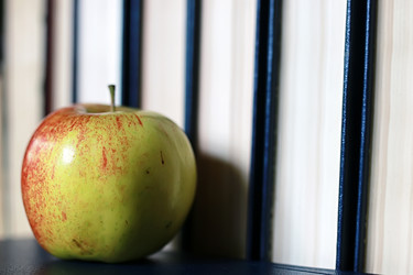 Similar image 20051696