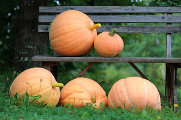 Similar image 20051728