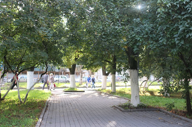 Similar image 20051743