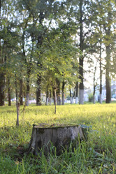 Similar image 20051753